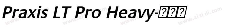 Praxis LT Pro Heavy字体转换
